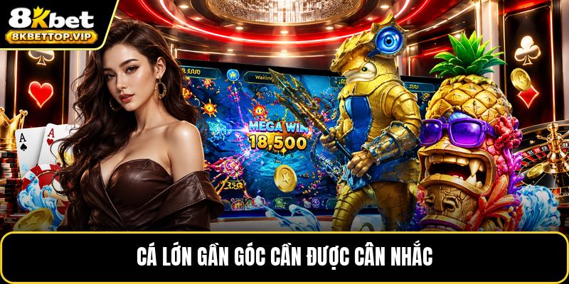 Cá lớn gần góc cần được cân nhắc