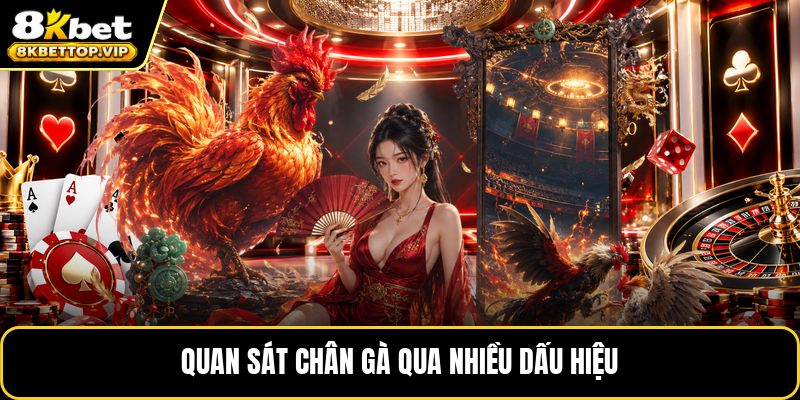 Quan sát chân gà qua nhiều dấu hiệu